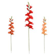 KS GLADIOLA, MIX/3F 69CM - FLORASYSTEM