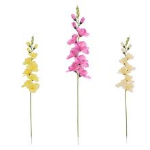 KS GLADIOLA, MIX/3F 69CM - FLORASYSTEM