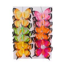 MOTÝLE FAREBNÉ NA KLIPE S/12 - FLORASYSTEM