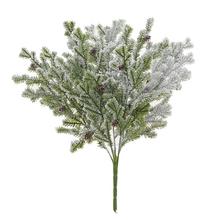 KONÁR ČEČINA ZASNEŽ., ŠIŠKY 50CM - FLORASYSTEM