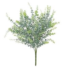 KONÁR EUCALYPTUS ZELENÝ 40CM - FLORASYSTEM