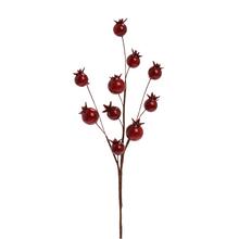 ZÁPICH ŠÍPKY ČERVENÉ 25CM - FLORASYSTEM