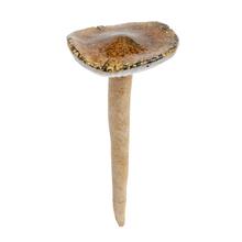 HRÍB ZEL/BIE KERAM. 9,8*9,8*21,3CM - FLORASYSTEM