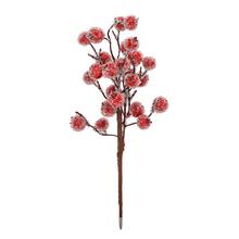ZÁPICH ŠÍPKY ČERVENÉ ĽADOVÉ 34CM - FLORASYSTEM