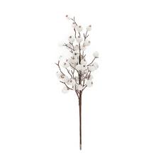 ZÁPICH ŠÍPKY BIELE ĽADOVÉ 45CM - FLORASYSTEM