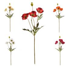 KS PAPAVER MIX/5F 68CM - FLORASYSTEM