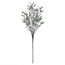 KONÁR IMELO, BIELE BOBULE 60CM - FLORASYSTEM