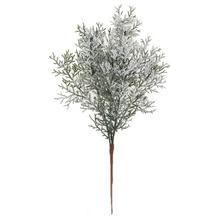 ZÁPICH TUJA ZELENÁ ZASNEŽENÁ 38CM - FLORASYSTEM
