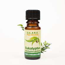 EUCALYPTUS sk - FLORASYSTEM