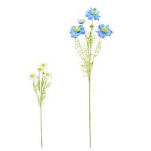 KS SCABIOSA, ZELEŇ MIX/2F 58CM - FLORASYSTEM