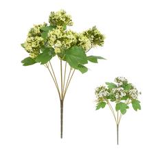 KYTICA KALANCHOE MIX/2F 44CM - FLORASYSTEM