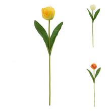 KS TULIPÁN, MIX/3F 47CM - FLORASYSTEM
