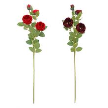 KS RUŽA ŠÍPOVÁ MIX/2F 68CM - FLORASYSTEM