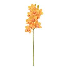 KS ORCHIDEA CYMBIDIUM ŽLTÉ 76CM - FLORASYSTEM