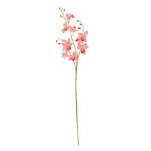 KS ORCHIDEA PHALAENOPSIS RUŽOVÁ 80CM - FLORASYSTEM