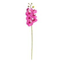 KS ORCHIDEA PHALAENOPSIS CYKLAMÉNOVÁ 73CM - FLORASYSTEM