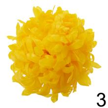 Umelé kvety chryzantéma vosková v rôznych farbách.