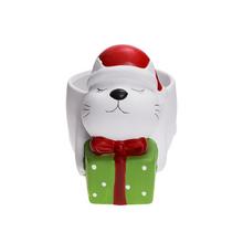 SUPER CENA OBAL MAČKA S DARČEKOM 16X11XV13CM - FLORASYSTEM