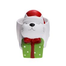 SUPER CENA OBAL MAČKA S DARČEKOM 18X13,5XV15,5CM - FLORASYSTEM