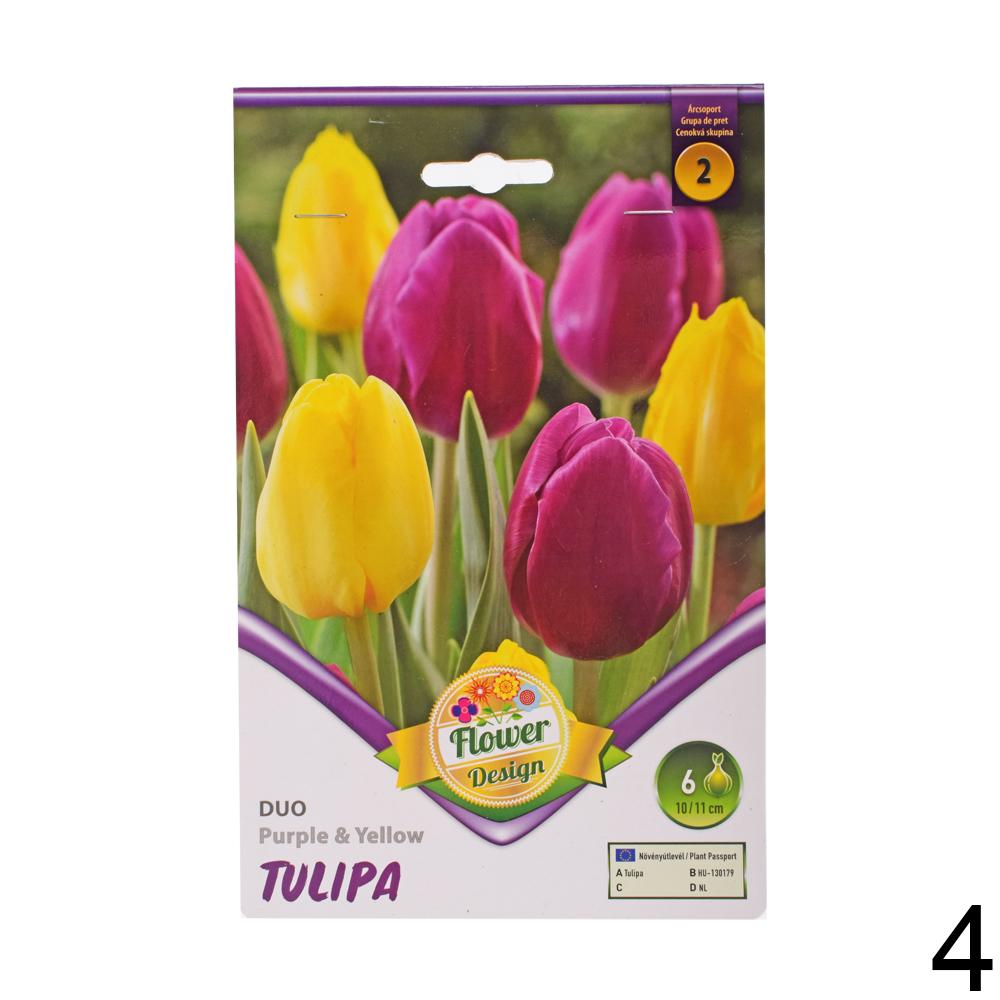 Mix tulipánov v rôznych farbách.
