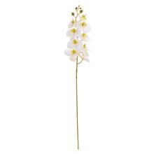 KS ORCHIDEA PHALAENOPSIS BIELA 95CM - FLORASYSTEM