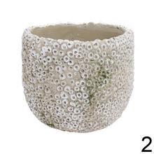 Cementový kvetináč s koralovým vzorom.