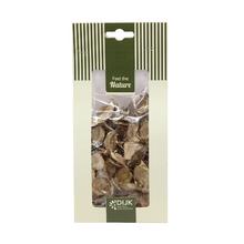 COTTON POD NATURE 10X5X22CM - FLORASYSTEM