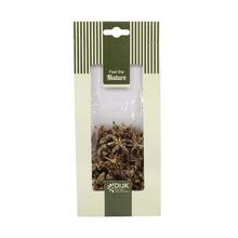 STAR ANISE NATURE GOLD- WASH 10X2X22CM - FLORASYSTEM