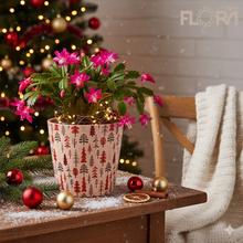 Obal na kvetináč so zimným lesom