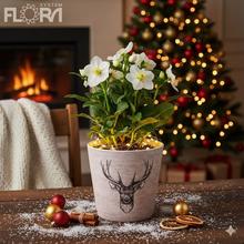 Keramický obal s motívom jelena.