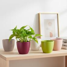 Sada keramických obalov na kvety v rôznych farbách.