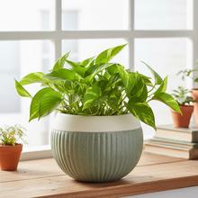 Zelený keramický kvetináč s hladkým a textúrovaným povrchom.