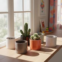 Obal na kaktus v mixe farieb 828/09.