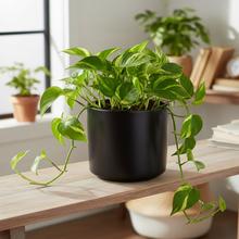 Čierny keramický kvetináč