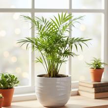 Biely keramický obal na kvetináče s vlnkovým vzorom.