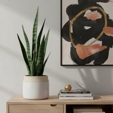 Biely keramický obal na kvety