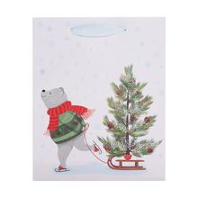 AGB2017603 TAŠKA darč.  V25x20+10cm Skating Bear - FLORASYSTEM