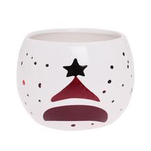 SUPER CENA OBAL STROM S HVIEZDOU 13XV9,5CM - FLORASYSTEM