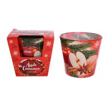 VOŇ.V SKLE APPLE+CINNAMON115GR/SAS9033/ - FLORASYSTEM