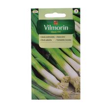 CIBUĽA ZIMNÁ BAJKAL 2g - FLORASYSTEM