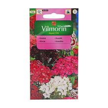 KLINČEK BRADATÝ 1g - FLORASYSTEM