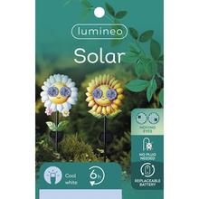 Solárna slnečnica so slnečnými okuliarmi