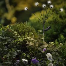 Solárny zápich kvietok s LED osvetlením.