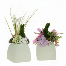 JARNÉ ARANŽMÁ 16,00 - FLORASYSTEM