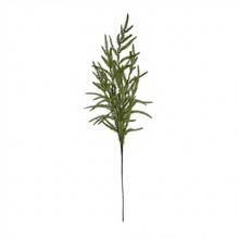 KONÁR ČEČINA ZELENÁ 64CM - FLORASYSTEM