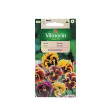 FIALKA VEĽKOKV. ŠVAJČ. GERM. ROCOCO 0,4g - FLORASYSTEM