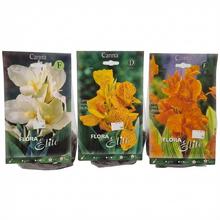 CIBUĽOVINY CANNA exclusive - balenie s gladiolmi