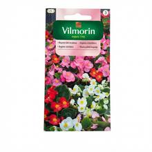 BEGÓNIA VŽDY KVITNÚCA 0,02g - FLORASYSTEM