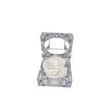 Ruža preparovaná v krabičke, ružová a biela.