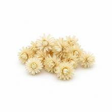 712 Plumosum bielené 250g - FLORASYSTEM